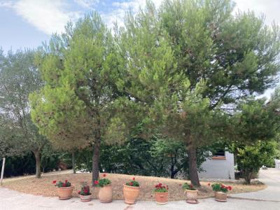 For sale Montclar 3 rooms 75 m2 Aude (11250) photo 2
