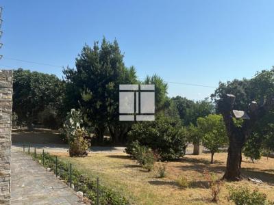 Annonce Vente 6 pi�ces Maison Venzolasca 20
