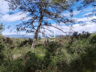 Annonce Vente Terrain Montauroux 83