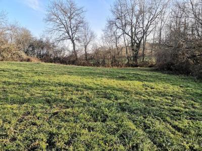 For sale Bassoues MARCIAC 6 rooms 156 m2 Gers (32320) photo 2