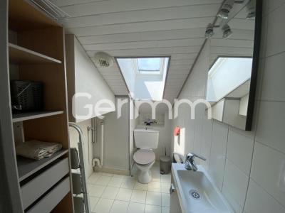 Louer Appartement Grenoble 535 euros