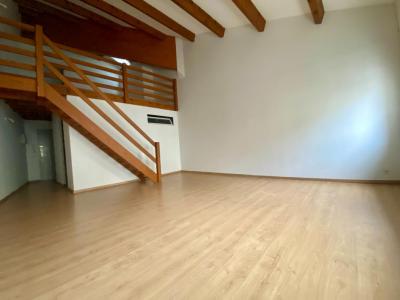 Annonce Location 2 pi�ces Appartement Avignon 84