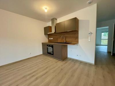 For rent Longwy 2 rooms 48 m2 Meurthe et moselle (54400) photo 0