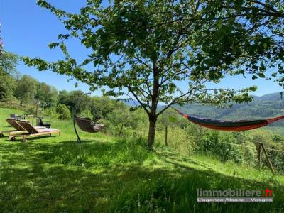 For sale Sainte-marie-aux-mines 15 rooms 450 m2 Haut rhin (68160) photo 0