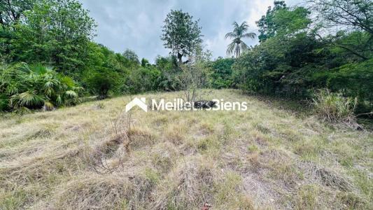 Annonce Vente Terrain Bouillante 971