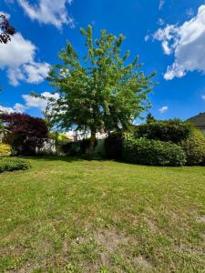 For sale Raincy 6 rooms 125 m2 Seine saint denis (93340) photo 4