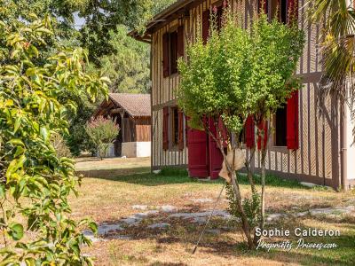For sale Castets 8 rooms 190 m2 Landes (40260) photo 0
