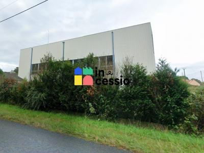 Annonce Vente Commerce Monce-en-belin 72