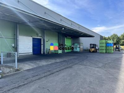 Louer Commerce 6468 m2 Chapelle-d'aligne