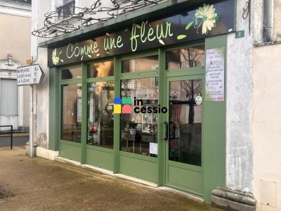 Annonce Vente Commerce Pontvallain 72