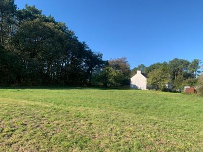 Annonce Vente 3 pi�ces Maison Landaul 56