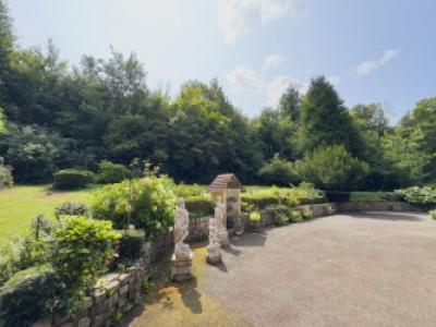 For sale Beaurainville 7 rooms 223 m2 Pas de calais (62990) photo 4