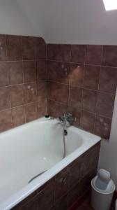 For rent Carhaix-plouguer 1 room 17 m2 Finistere (29270) photo 4