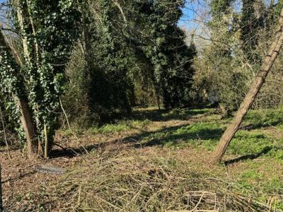 Annonce Vente 7 pi�ces Maison Saint-pey-de-castets 33