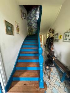 For sale Plouha 7 rooms 150 m2 Cotes d'armor (22580) photo 4