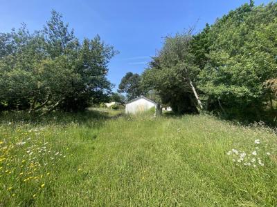Annonce Vente Terrain Saint-gildas-de-rhuys 56