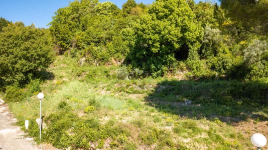 Annonce Vente Terrain Lodeve 34