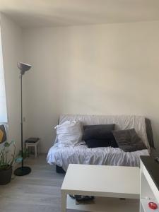 Annonce Location Appartement Toulouse 31