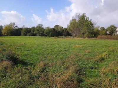 Annonce Vente Terrain Braud-et-saint-louis 33
