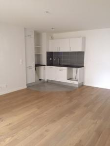 For rent Nantes 2 rooms 48 m2 Loire atlantique (44000) photo 0