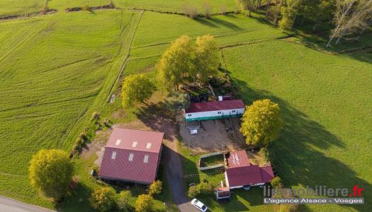 Annonce Vente 3 pi�ces Maison Wisembach 88
