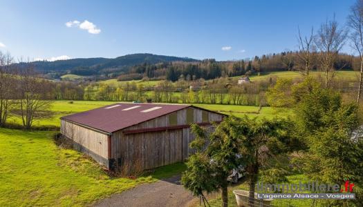 Acheter Maison Wisembach Vosges