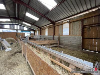Acheter Maison Wisembach 149000 euros