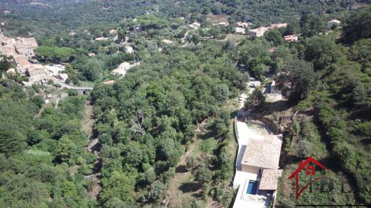 Annonce Vente Terrain Ville-di-paraso 20
