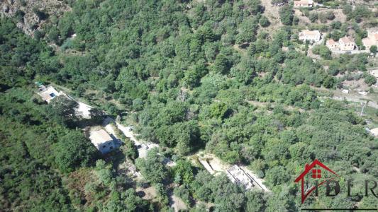 Acheter Terrain Ville-di-paraso Corse