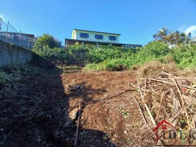 Annonce Vente Terrain Petite-ile 974