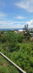 Annonce Vente Appartement Saint-denis-chaudron 974