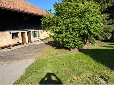 Acheter Maison 259 m2 Osse