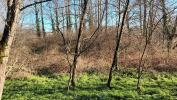 For sale Land Villandraut 