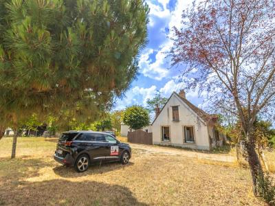 Annonce Vente 9 pi�ces Maison Chabris 36