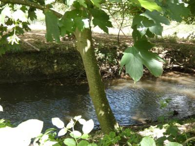 Acheter Terrain 921 m2 Boncourt