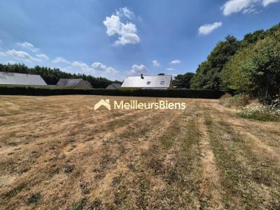 Acheter Terrain 2000 m2 Derval