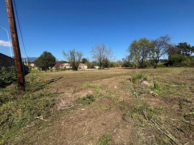 Acheter Terrain Venzolasca 29000 euros