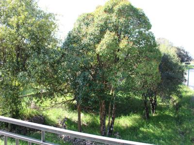 For sale Mejannes-le-clap 5 rooms 130 m2 Gard (30430) photo 3