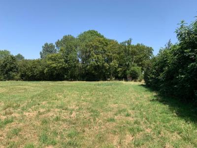 Annonce Vente Terrain Noyer-en-ouche 27