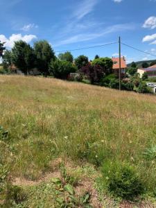 Acheter Terrain 807 m2 Langogne