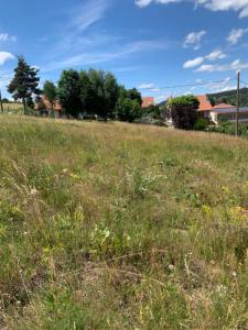 Acheter Terrain Langogne 38315 euros