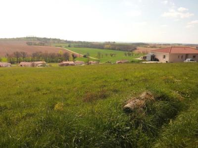 Acheter Terrain 1200 m2 Puycasquier