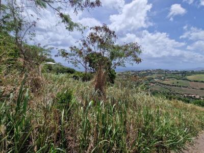 Annonce Vente Terrain Carbet 972