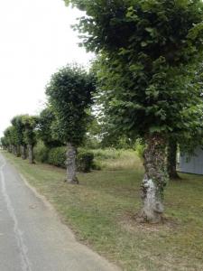 Annonce Vente Terrain Etrechy 18