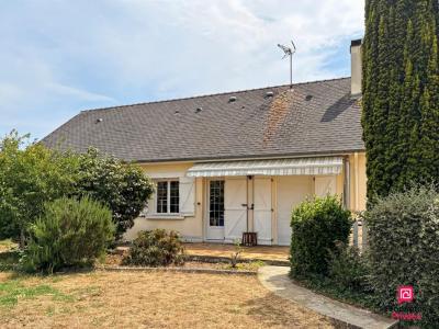 Annonce Location 5 pi�ces Maison Sable-sur-sarthe 72