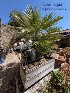 For sale Mouzeuil-saint-martin 7 rooms 120 m2 Vendee (85370) photo 3