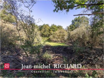 Acheter Terrain 32767 m2 Courmemin