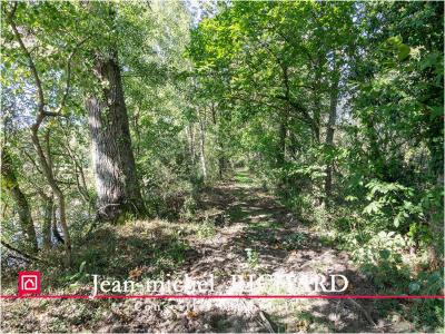 Acheter Terrain Courmemin Loir et cher