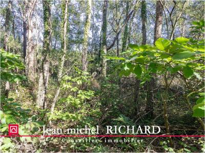 Acheter Terrain Courmemin 375000 euros