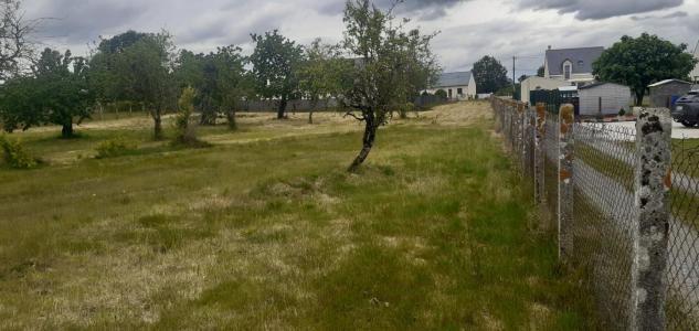 Annonce Vente Terrain Bauge 49